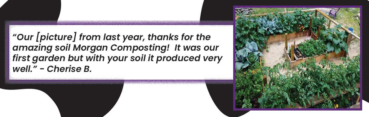 cherise testimonial