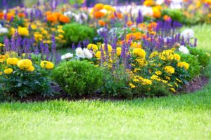 flower garden 300x200 1