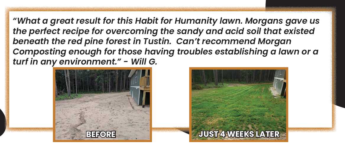 habitat for humanity