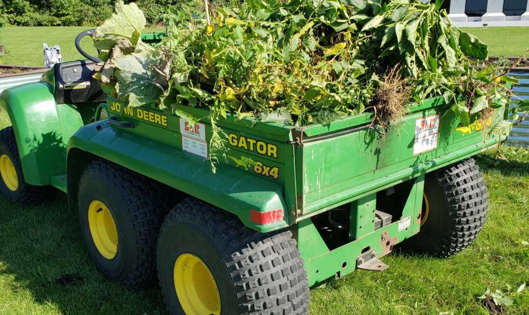 What’s Growing With Tom Week 23: Starting a Compost Pile