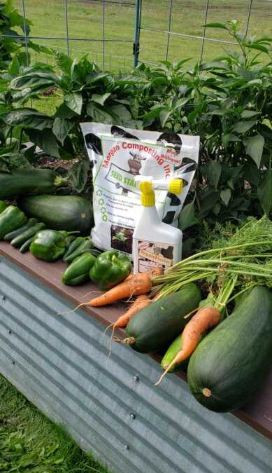 What’s Growing with Tom Week 17: Vegetable Garden Update