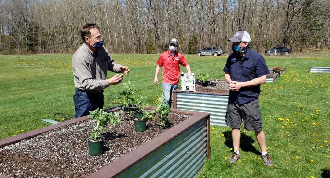 What’s Growing With Tom 2020: Transplanting Veggies