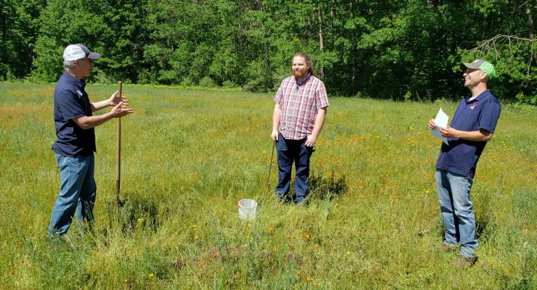 What’s Growing With Tom 2020: Growing Hay