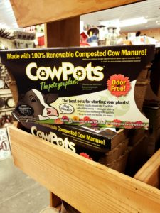 Cow Pots e1523038096503 225x300 1