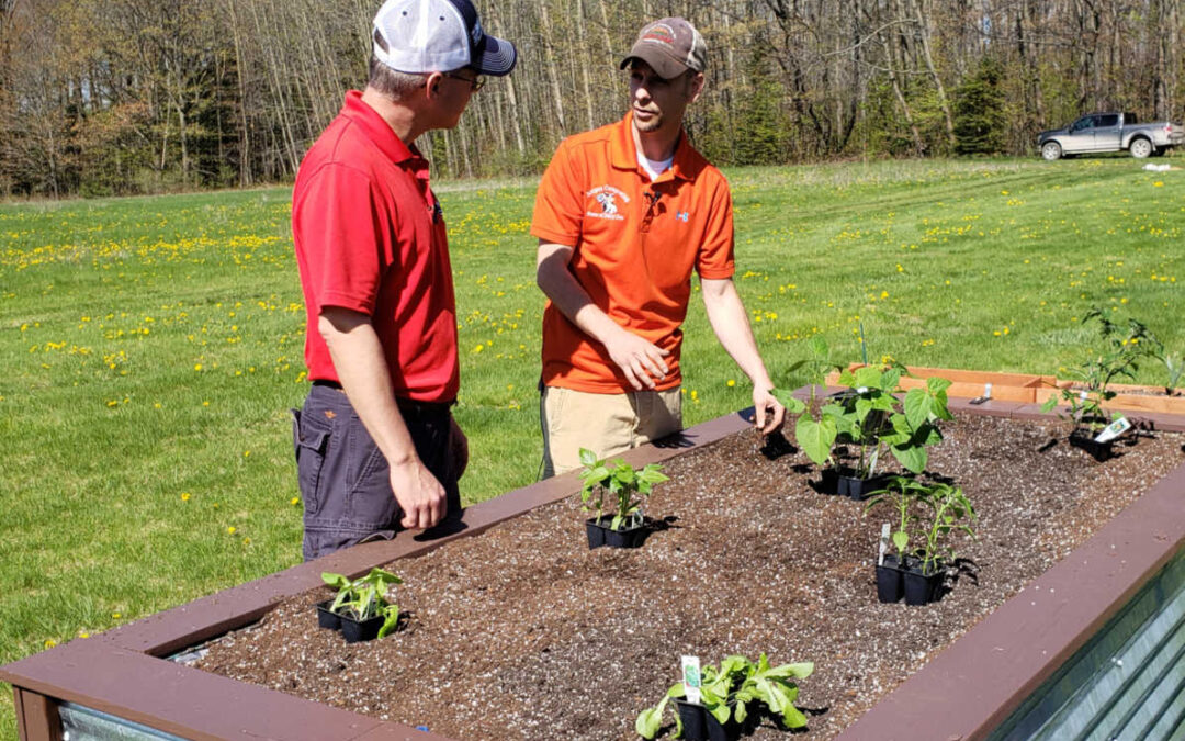 What’s Growing With Tom Week 5: Transplanting