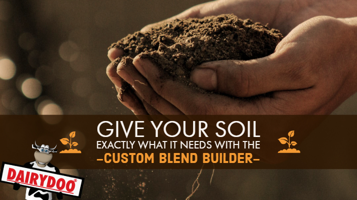 custom soil builder 1