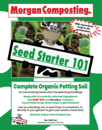 101 UPDATED for website e1705957716235