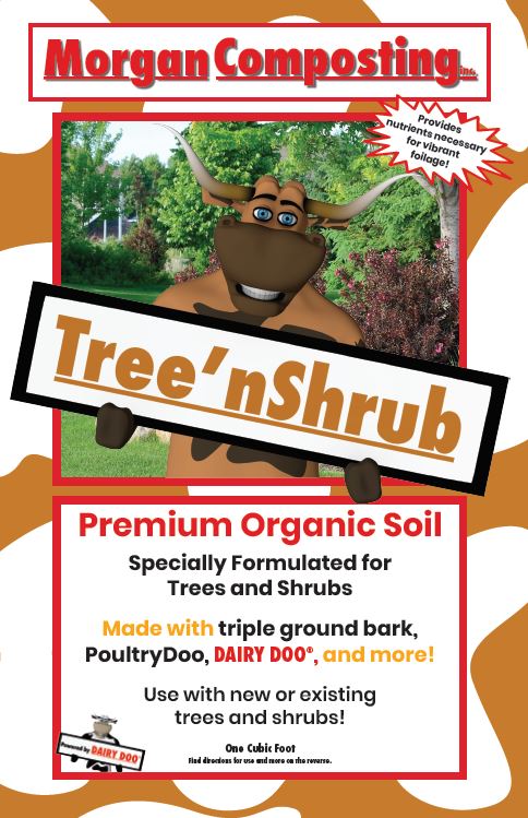 TreenShrub jpg 1